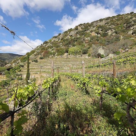 Quinta Da Ferradosa Wines Pensionat São João da Pesqueira Eksteriør billede