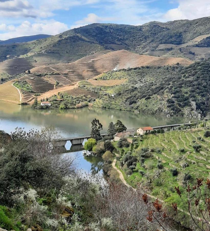 Quinta Da Ferradosa Wines Pensionat São João da Pesqueira Eksteriør billede