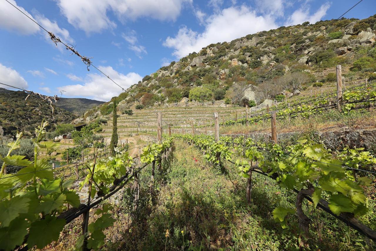 Quinta Da Ferradosa Wines Pensionat São João da Pesqueira Eksteriør billede