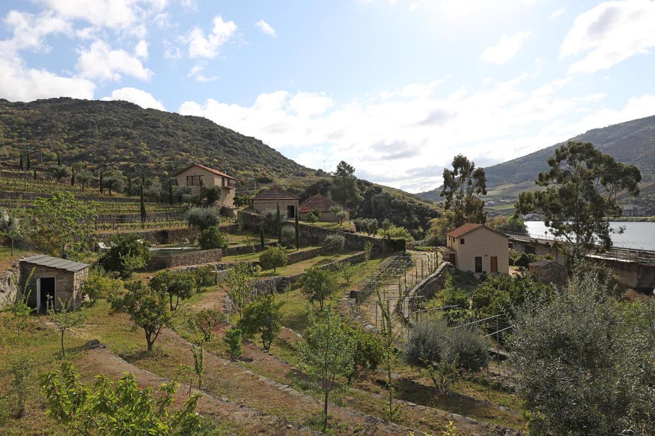 Quinta Da Ferradosa Wines Pensionat São João da Pesqueira Eksteriør billede