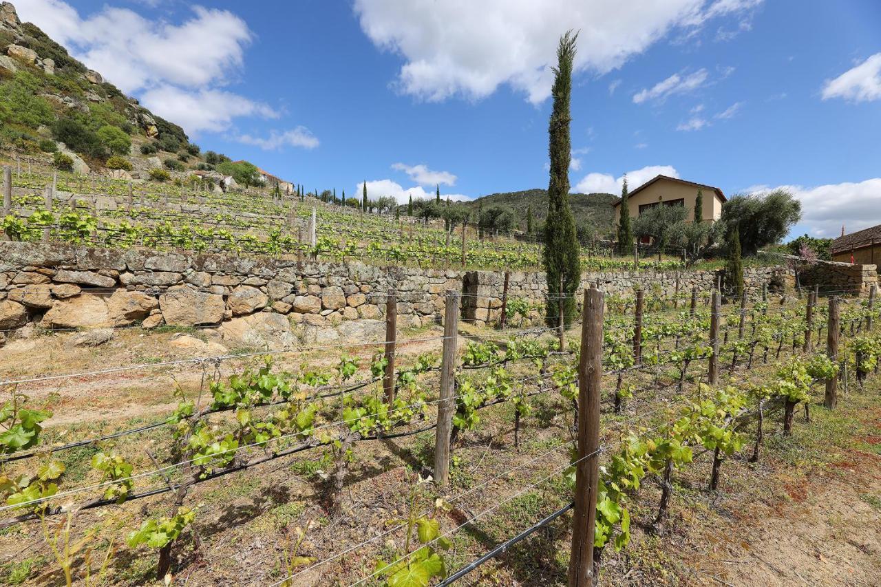 Quinta Da Ferradosa Wines Pensionat São João da Pesqueira Eksteriør billede