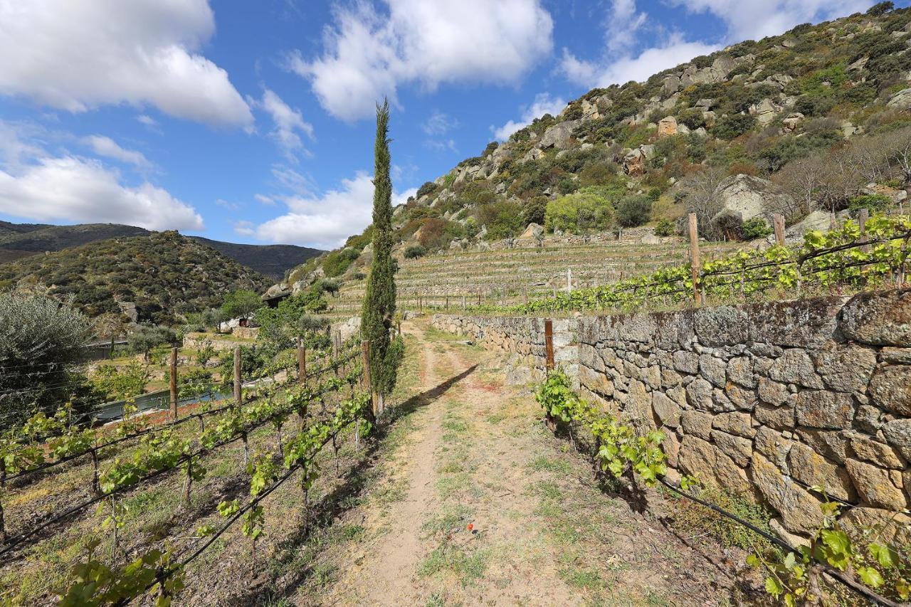 Quinta Da Ferradosa Wines Pensionat São João da Pesqueira Eksteriør billede